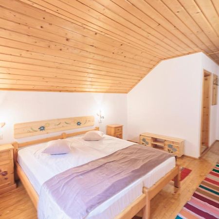Pensiunea Piatra-Craiului Zărneşti Bagian luar foto