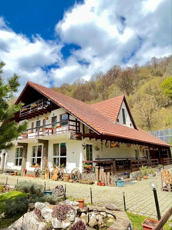 Pensiunea Piatra-Craiului Zărneşti Bagian luar foto